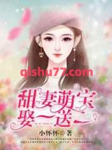 甜妻萌宝，娶一送一小说