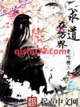 求道在万界小说