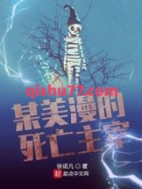 某美漫的死亡主宰小说