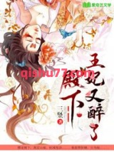 殿下，王妃又醉了小说