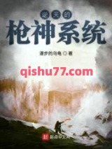 逆天的枪神系统小说