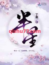 半星小说
