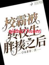 校霸被转校生胖揍之后小说