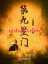 第九星门小说
