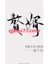 争霸文里当赘婿小说
