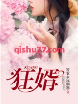 狂婿小说