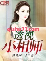 透视小相师小说