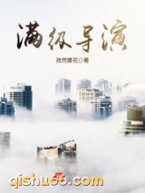 满级导演小说