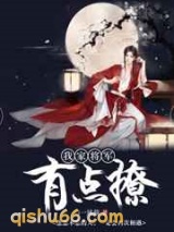 我家将军有点撩小说