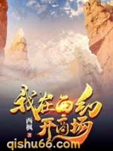 我在西幻开商场小说