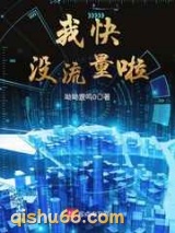 我快没流量啦小说