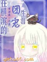 在横滨的团宠生涯小说