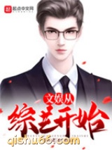 文娱从综艺开始小说