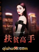 扶贫高手小说