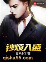 钞烦入盛小说