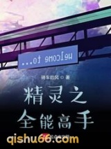 精灵之全能高手小说