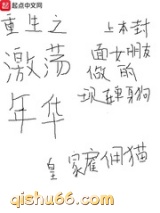 重生之激荡年华小说