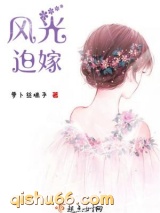 风光迫嫁小说