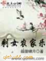 剩女农家乐小说