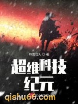 超维科技纪元小说