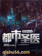 都市圣医小说