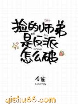 捡的师弟是反派怎么破小说