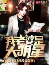 我老婆是大明星小说