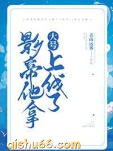 影帝他拿大号上线了小说