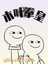 木叶拳皇小说