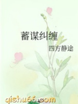 蓄谋纠缠小说