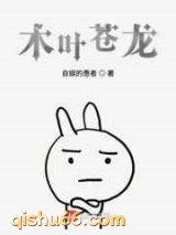 木叶苍龙小说