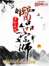 医品宗师小说
