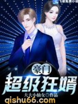 豪门超级狂婿小说