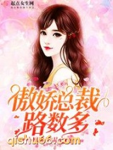 傲娇总裁路数多小说