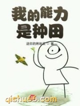我的能力是种田小说
