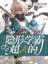 隐形学霸超A的小说