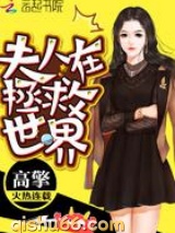 夫人在拯救世界小说