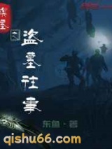 暝墓之盗墓往事小说
