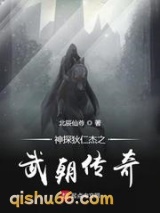 神探狄仁杰之武朝传奇小说