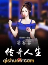美利坚传奇人生小说
