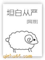 坦白从严小说