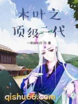 木叶之顶级二代小说
