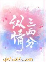 纵情三两分小说