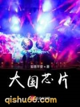 大国芯片小说