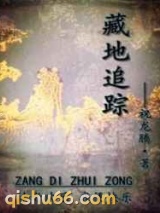 藏地追踪小说