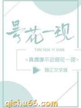 真偶像不会昙花一现小说