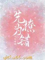 先撩为错小说