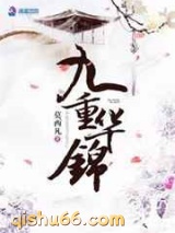 九重华锦小说