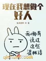 现在我想做个好人小说