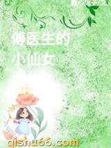 傅医生的小仙女小说